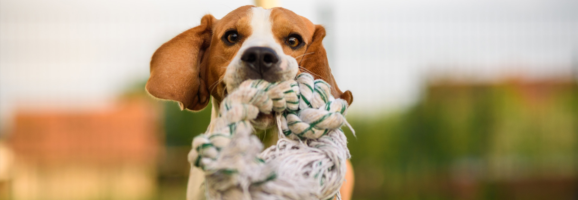 With Anray, All is OK