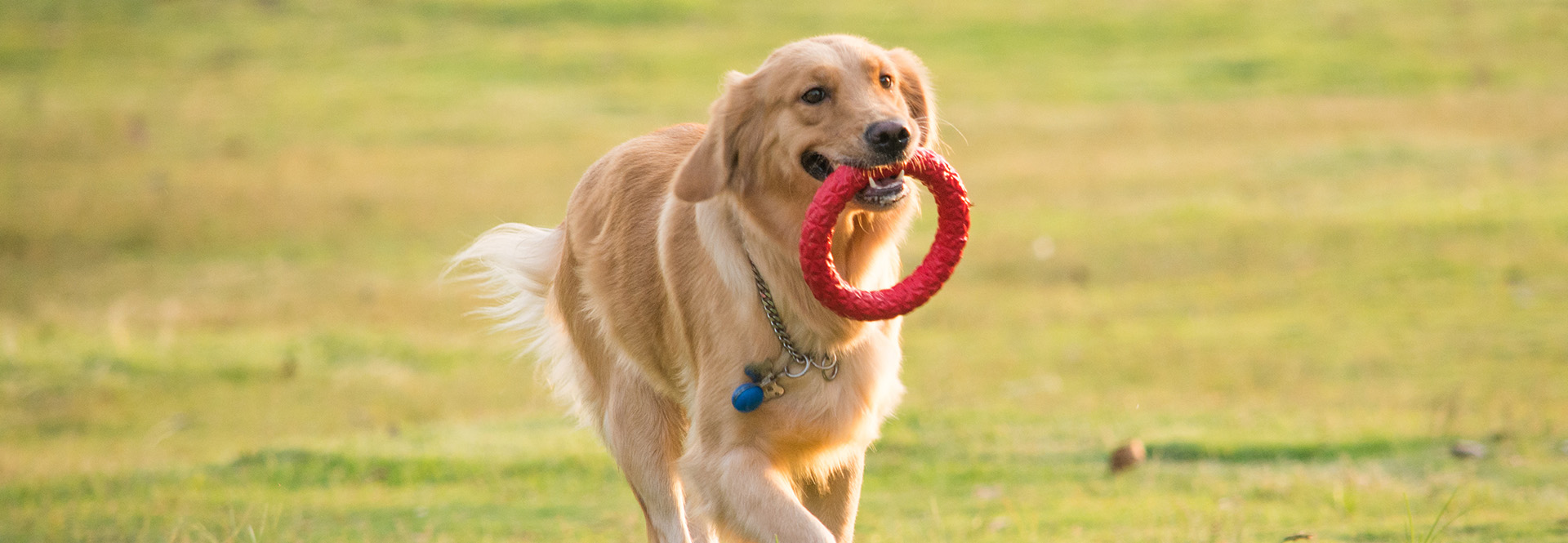 With Anray, All is OK